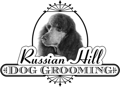 Standard poodle grooming deals prices